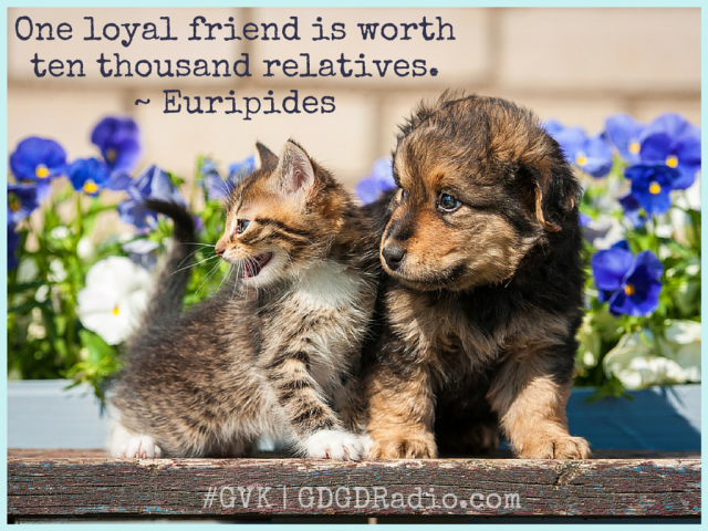One loyal friend is worth ten thousand relatives. Euripides quote