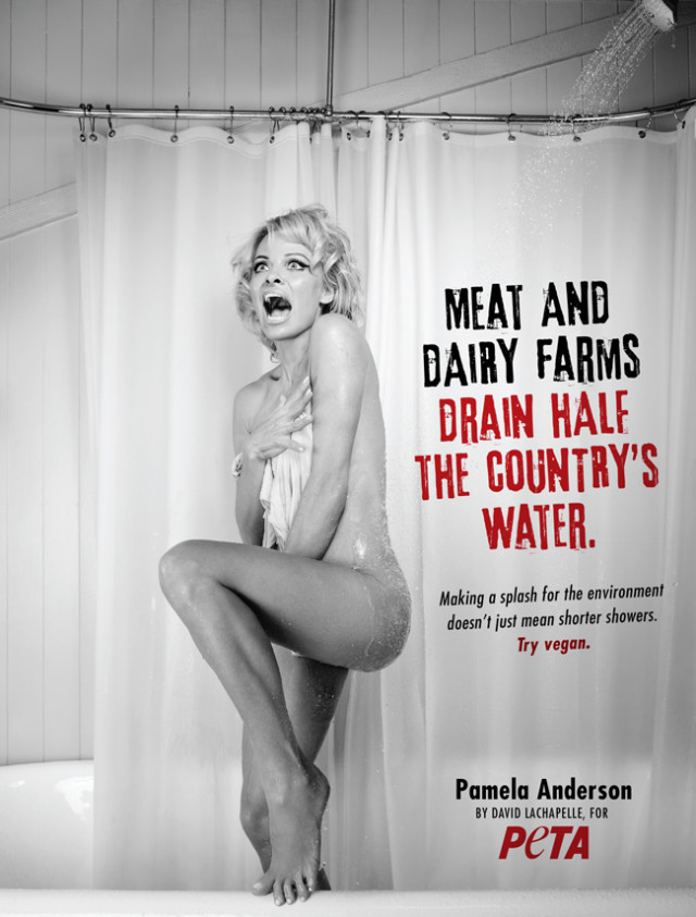 PAMela Anderson PETA shower ad