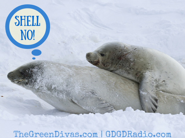 ShellNo ... why is Shell Arctic drilling a bad thing?