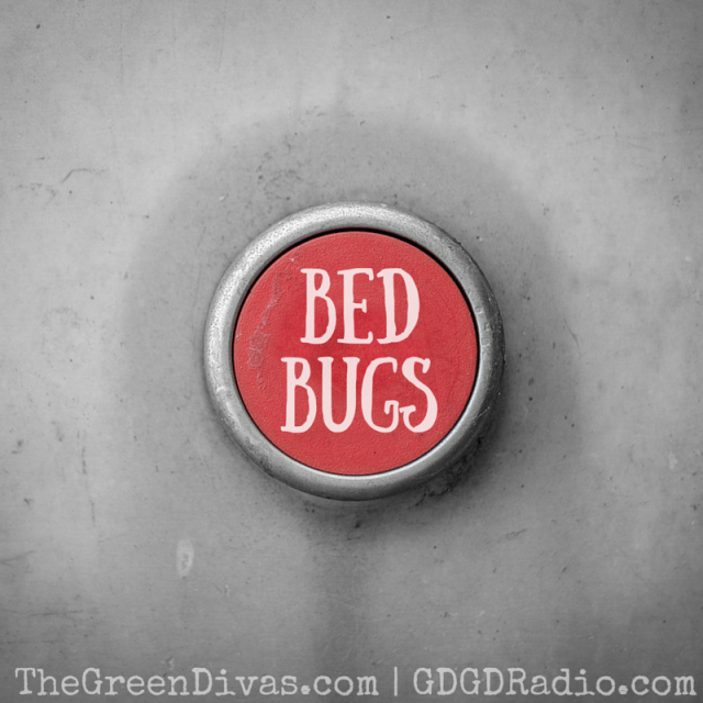 bed bugs panic button