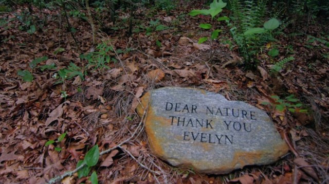 Thank you nature! Going green beyond the grave