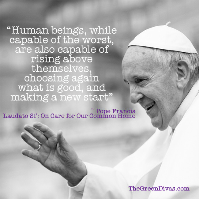 Pope Francis Quote from Laudato Si'