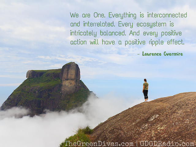we are one quote, earth consciousness
