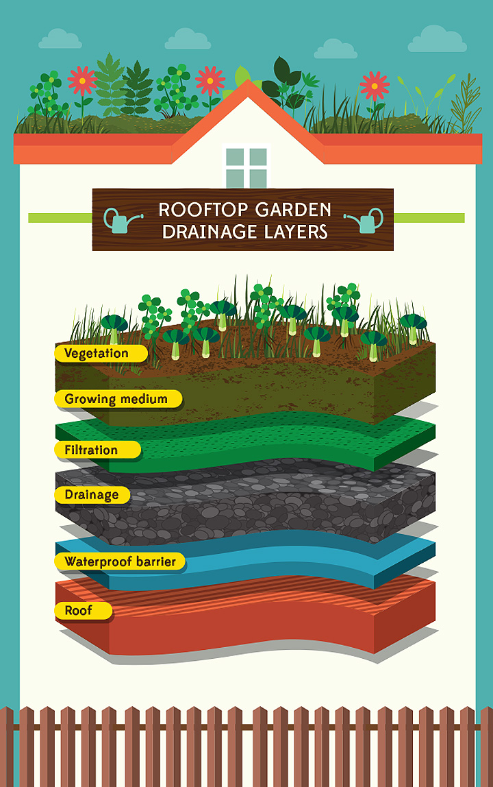 rooftop-garden drainage infographic
