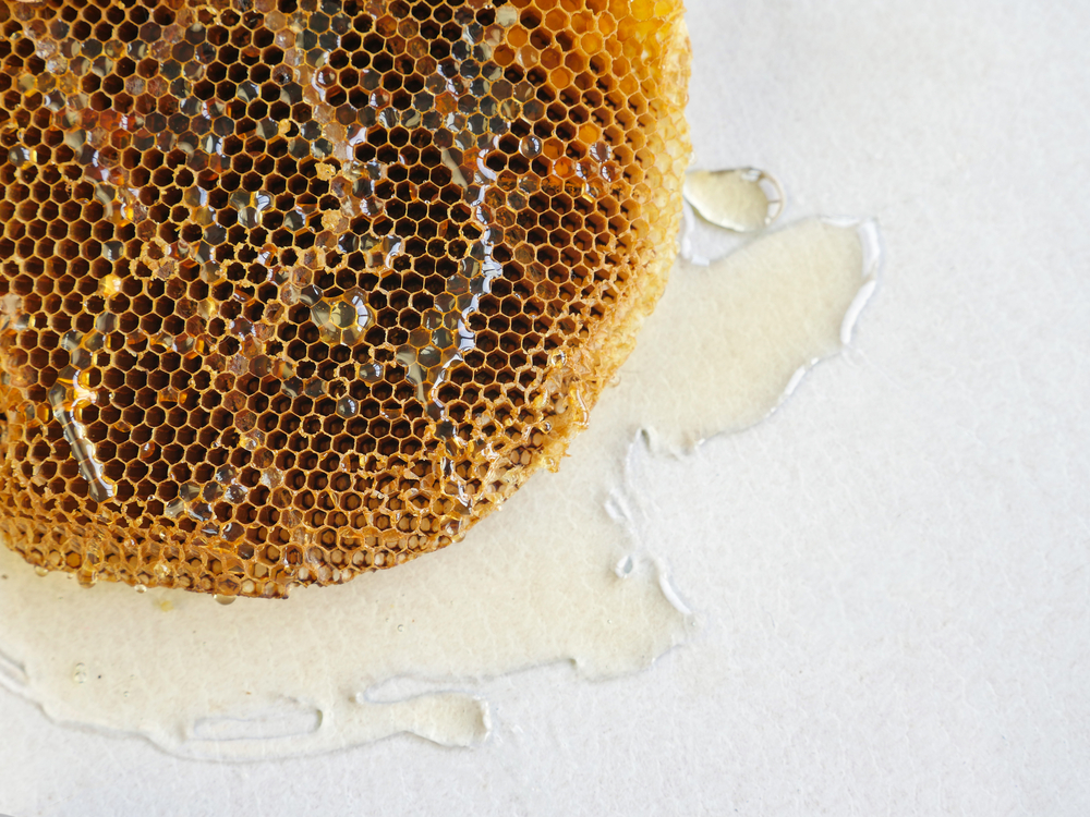 gd foodies - organic honey