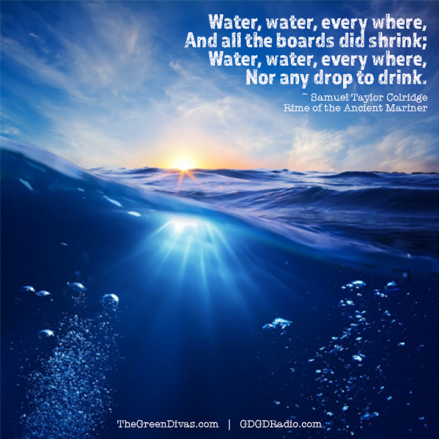 world water day 2016 image on the green divas