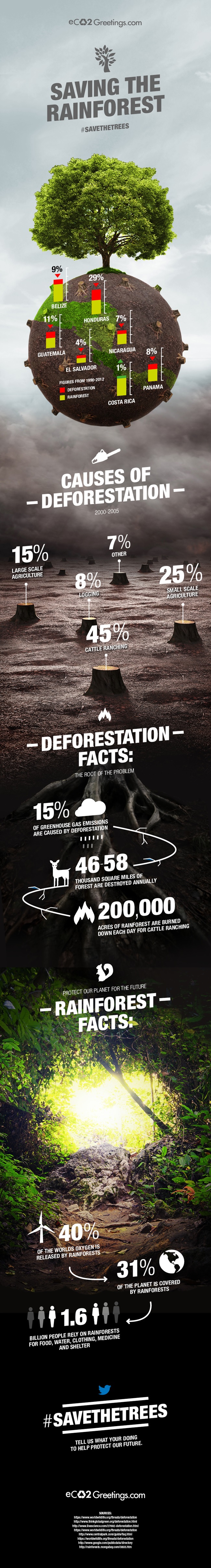alarming facts about deforestation infographic
