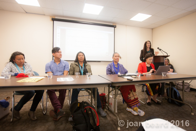 WECAN indigenous women's panel at UN May 2016