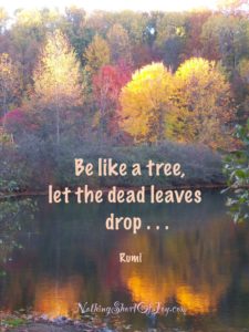 %22Be like a tree, let the dead leaves drop. .....~Rumi