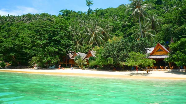 Phi Phi Island resort from travganic on the green divas