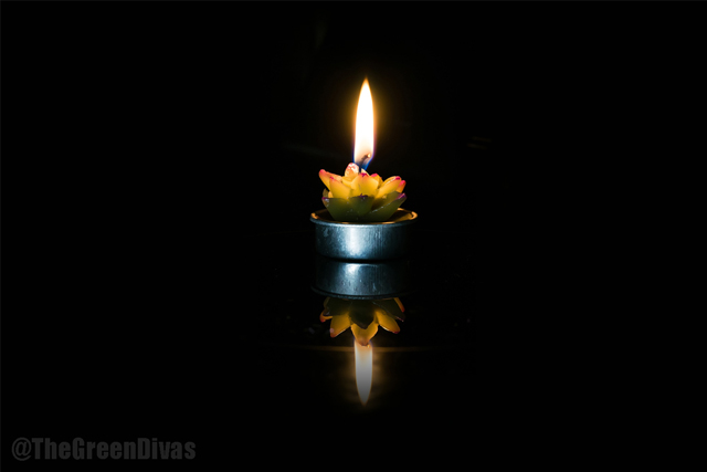 gd spirit pub: lotus candle light