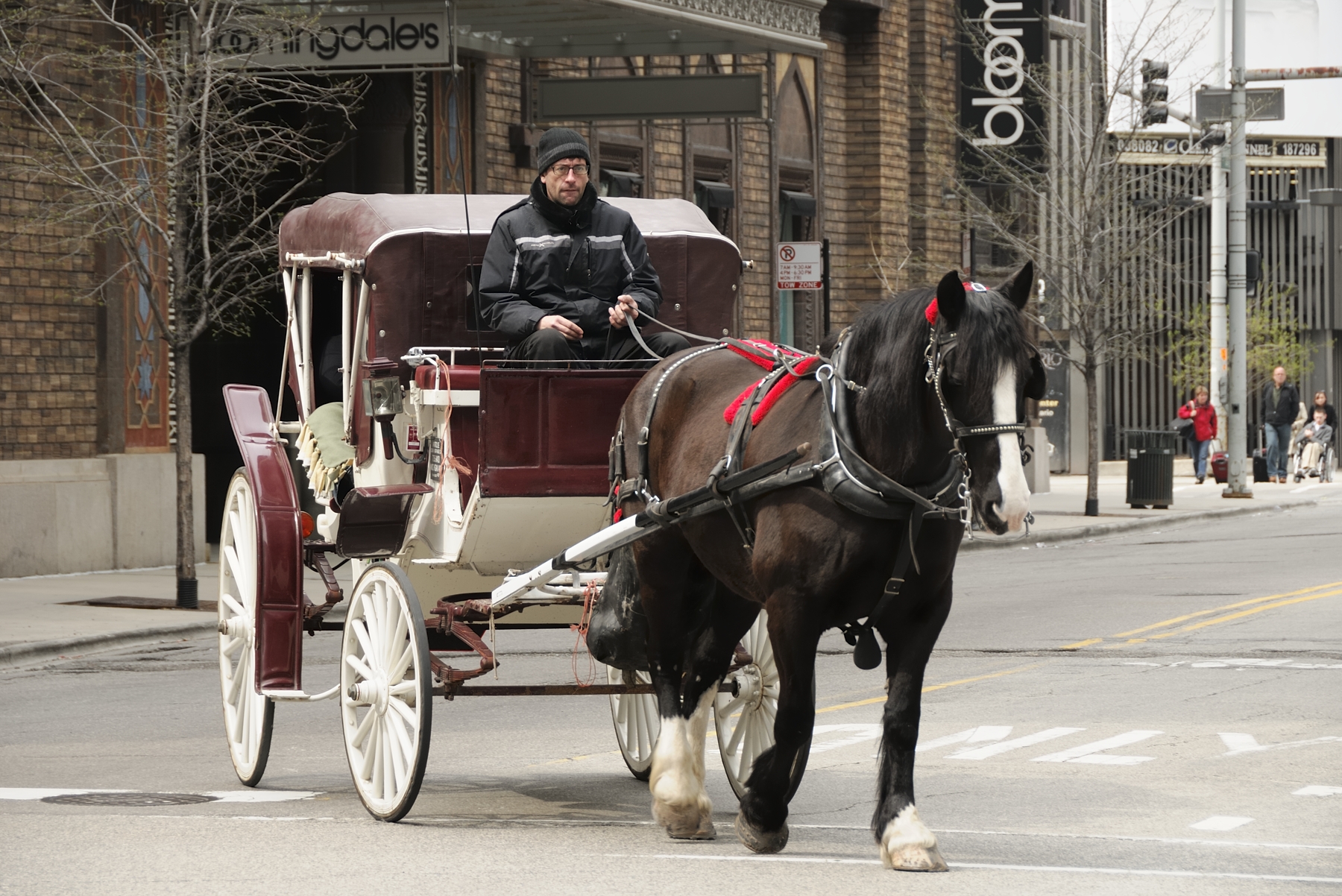 gd mike nowak show about horse drawn carriages in chicago
