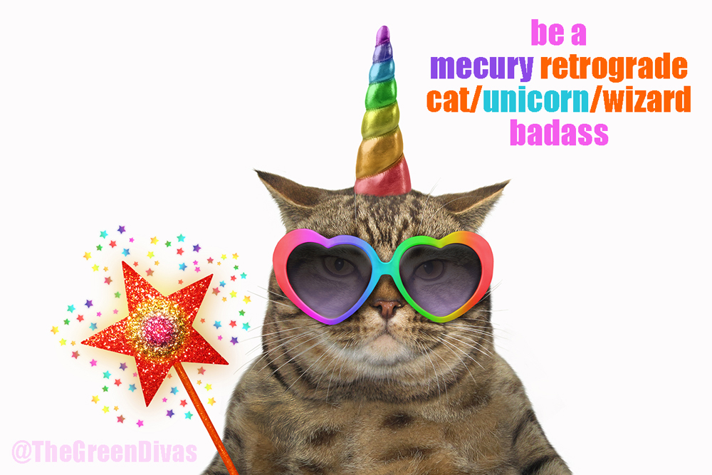badass mercury retrograde cat unicorn wizard